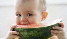 宝宝总吃瓜好吗,营养与健康的平衡之道