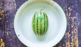 造瓜吃瓜,造瓜吃瓜，共享欢乐时光