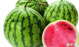 来月经吃羊角瓜可以吗,月经期间食用羊角瓜的适宜性探讨