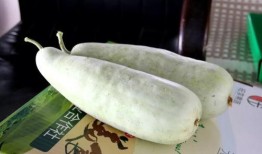 海诺地产吃瓜,揭秘吃瓜群众的围观盛宴