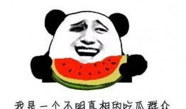 吃瓜群众应该吃什么瓜,吃瓜群众必尝的清凉瓜果大盘点