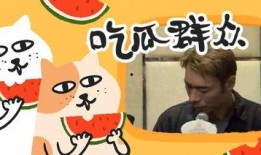 吃瓜书坊破解,破解背后的秘密与精彩故事