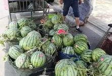 凉山现代吃瓜事件,揭秘网络舆论的狂欢与反思