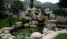 青农假山吃瓜,一场别开生面的夏日盛宴