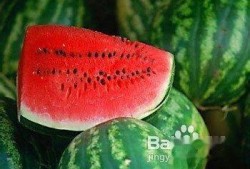 吃头孢可以打心瓜育苗吗,探讨抗生素在农业中的应用