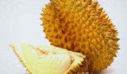 吃榴莲可以吃矮瓜吗,探索两者共食的奇妙组合