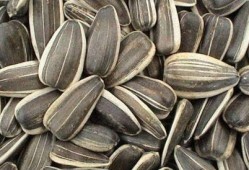 孕妇可以吃葵瓜,葵瓜助力母婴健康