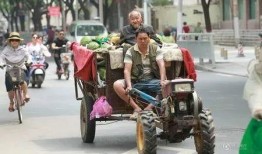 摆摊吃瓜图片大全,摆摊吃瓜，人间烟火气十足