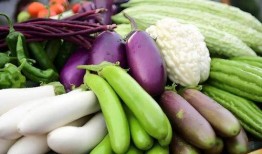 广州同城吃瓜,揭秘城市生活圈的热辣话题与幕后故事