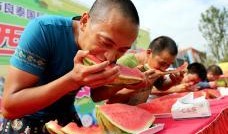 邻里中心吃瓜大赛,首届吃瓜大赛精彩回顾