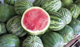 吃瓜一整个,揭秘吃瓜一整个的幕后故事