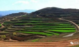 庄浪永宁吃瓜,夏日吃瓜盛宴，感受乡村田园生活