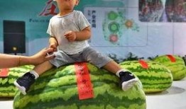 北京吃瓜的群众,吃瓜群众的北京生活剪影