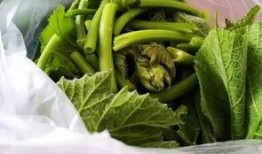 纹龙瓜怎么吃,解锁美味新体验