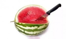 如何吃瓜显高端,解锁高端吃瓜之道