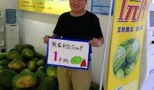 跳跳糖吃瓜群众