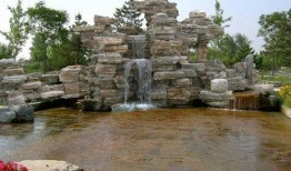 青农假山吃瓜,一场别开生面的夏日盛宴