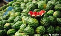 成县最新吃瓜事件,真相竟如此反转！