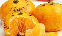 绿桔瓜怎么吃,探索美味与营养的完美融合