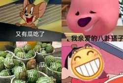 重庆吃瓜pdf,从吃瓜PDF探寻山城风味