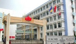 深圳国际高中吃瓜,校园吃瓜文化一探究竟