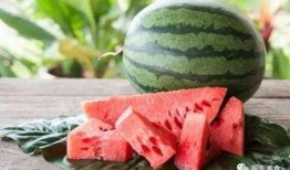 吃大只绿瓜,探寻夏日消暑美食之旅