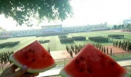 学姐学弟吃瓜,校园风云录