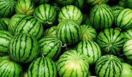 吃瓜有方,轻松掌握娱乐圈热点，畅享娱乐盛宴