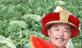 半路吃瓜,揭秘娱乐圈背后的秘密与真相