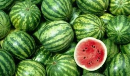 soul广场吃瓜,吃瓜群众的热议焦点