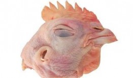 病态鸡吃瓜,病态鸡的奇异瓜果之旅