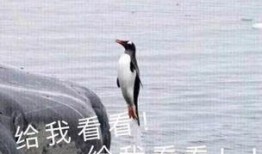 吃瓜鹅游戏视频