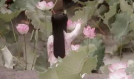 无极县吃瓜,瓜香四溢，品味生活新风尚