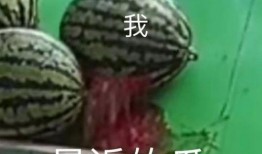 吃瓜不忘的文案,揭秘娱乐圈那些事儿