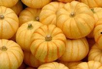 绿桔瓜怎么吃,探索美味与营养的完美融合