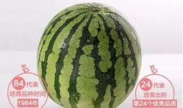 漳州城吃瓜,夏日吃瓜盛宴，品味地方特色