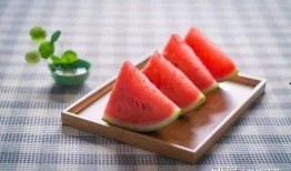 吃瓜的傻鹅,吃瓜傻鹅的趣味生活揭秘