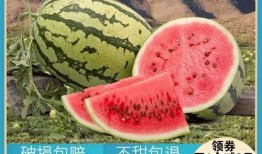 快乐吃瓜010,揭秘娱乐圈幕后故事