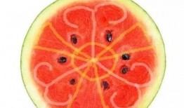 如何吃瓜显高端,解锁高端吃瓜之道