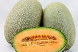 吃哈密瓜可以吃韭菜吗