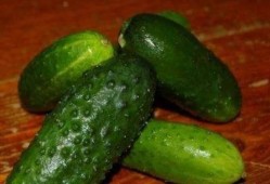 孕期吃绿皮瓜,营养美味，助力母婴健康