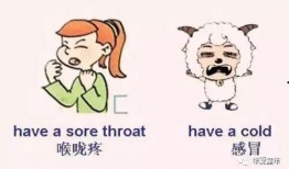 吃白羊瓜喉咙不舒服,小心喉咙不适需注意