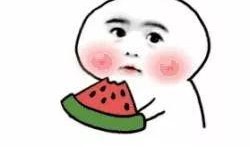 呆萌在吃瓜,欢乐无限