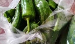 纹龙瓜怎么吃,解锁美味新体验