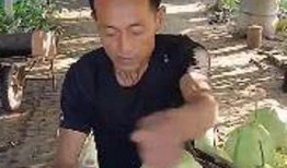 深圳吃瓜哥,揭秘深圳美食圈的那些事儿