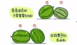 宝宝吃瓜的正确吃法,轻松掌握五步健康吃法