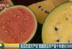 吃瓜自己也成瓜,我的成长之旅