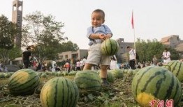 北京吃瓜的群众,吃瓜群众的北京生活剪影