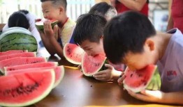 吃瓜奇妙小镇,一场味蕾与心灵的奇妙之旅