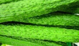 吃黄瓜能吃哈密瓜,一蔬一果的奇妙交融